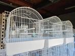 Witte kooi 29 x 20 x 30, Dieren en Toebehoren, Ophalen, Nieuw, Kunststof