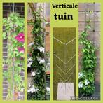Klimplanten rekken voor clematis passieflora en klimroos, Ophalen of Verzenden, Vaste plant, Klimplanten