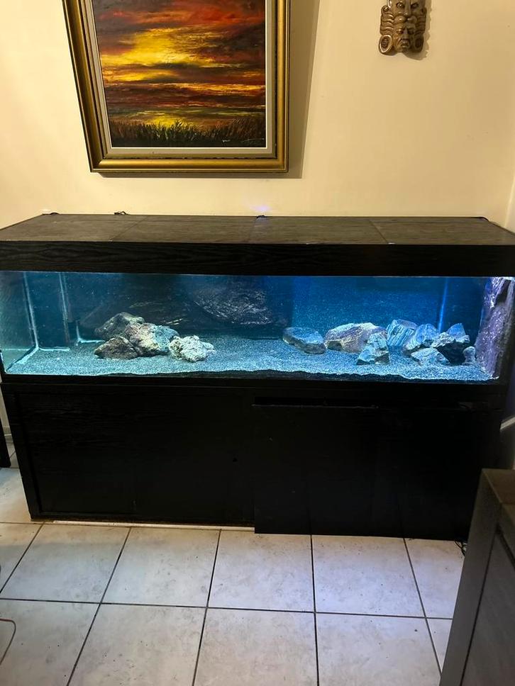 Aquarium van 720 liter 200x60x60, Dieren en Toebehoren, Overige Dieren-accessoires, Ophalen