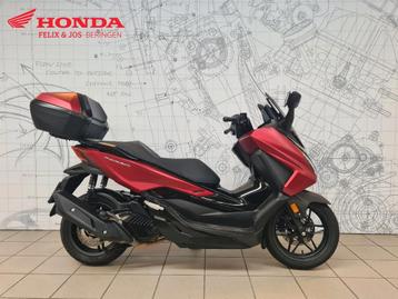 Honda NSS 125 Forza (bj 2023), Motoren, Motoren | Honda, Scooter, Bedrijf, 125 cc, 11 kW of minder