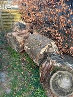 Hout te koop voor top prijs!, 3 tot 6 m³, Ophalen, Beukenhout, Stammen