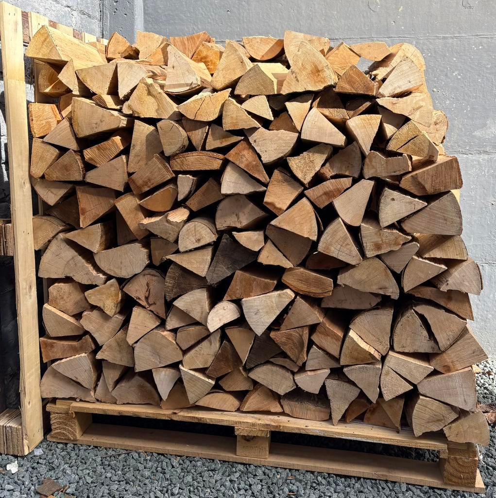 Brandhout beuk. 1,5 sterre ongeveer 500 blokken, Enlèvement, Hêtre, Bûches