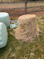 Midi hooi baal, Enlèvement