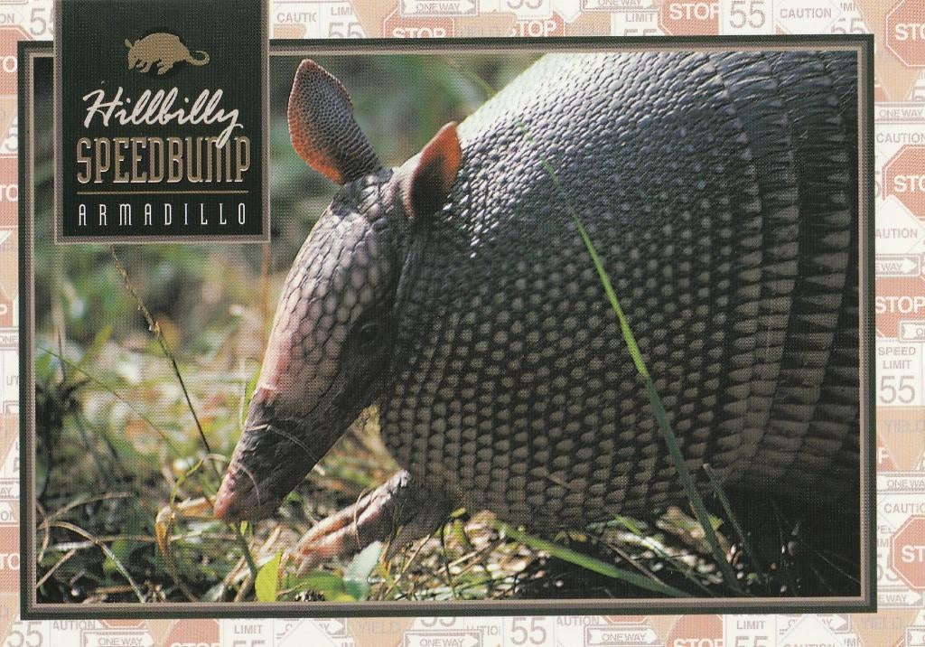 GORDELDIER, Collections, Cartes postales | Animaux, Envoi, Non affranchie, Animal sauvage