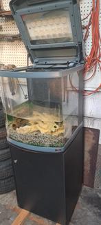 Aquarium  met verlichting  en kast, Ophalen