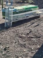 Zachte Bijenvolk Carnica, Abeilles