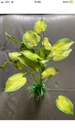 aquarium plant, Dieren en Toebehoren, Vissen | Aquaria en Toebehoren, Ophalen, Zo goed als nieuw