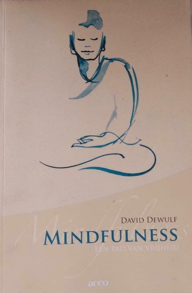 Mindfulness - David Dewulf, Livres, Ésotérisme & Spiritualité, Comme neuf, Autres types, Enlèvement
