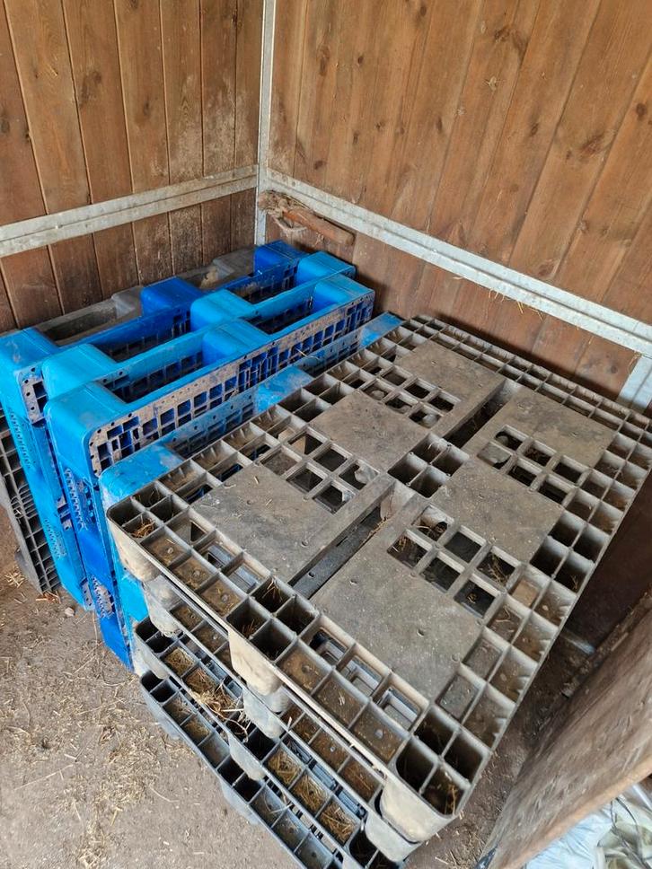11  PVC paletten, Doe-het-zelf en Bouw, Kratten en Dozen, Ophalen
