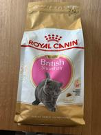 Royal Canin Britse korthaar kitten, Enlèvement ou Envoi, Chat