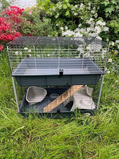 coole hamsterkooi, Dieren en Toebehoren, Knaagdieren en Konijnen | Hokken en Kooien, Gebruikt, Kooi, Cavia, Chinchilla, Fret, Hamster