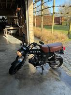 Skyteam Dax 50CC, Ophalen, Gebruikt, Overige modellen, Klasse B (45 km/u)