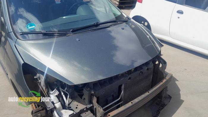 Capot d'un Peugeot 207 (EZQ), -, -, 3 mois de garantie, Utilisé