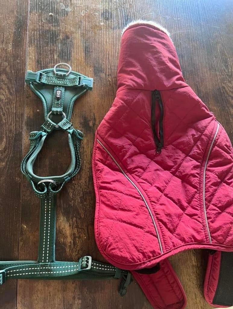 Hondentuigje + Gewatteerde Winterjas (NIEUW!), Dieren en Toebehoren, Hondenkleding, Zo goed als nieuw, Hondenjas, Ophalen