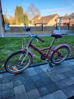 Velo filles, Enlèvement