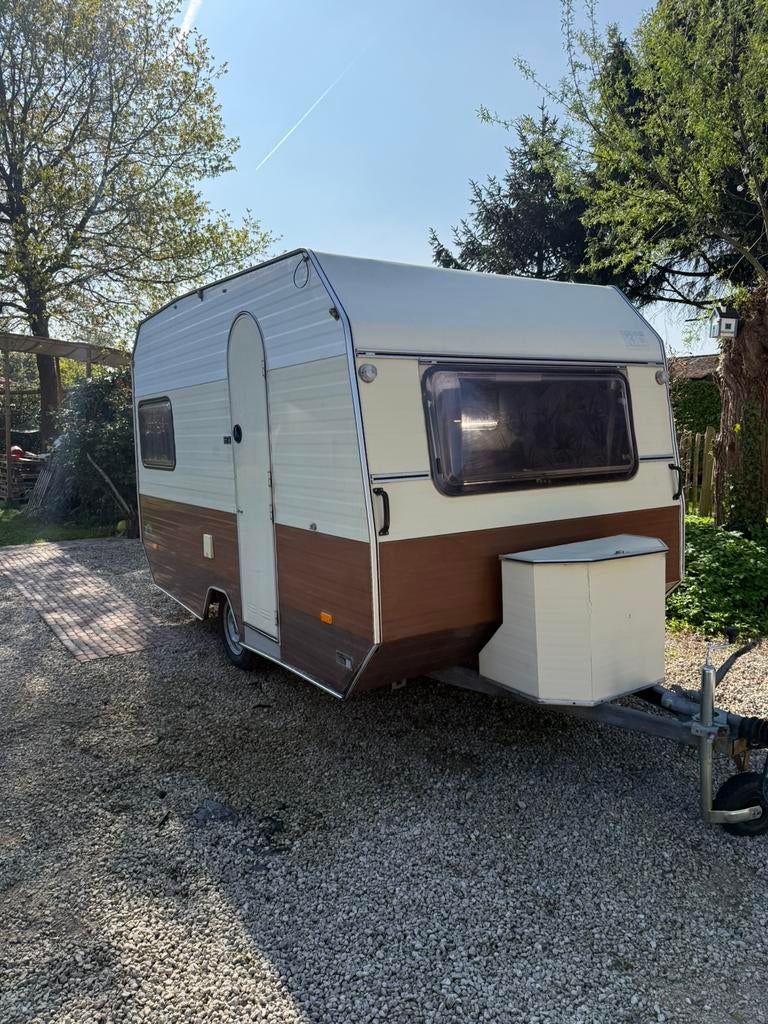 Kip regenboog K380, Particulier, Kip