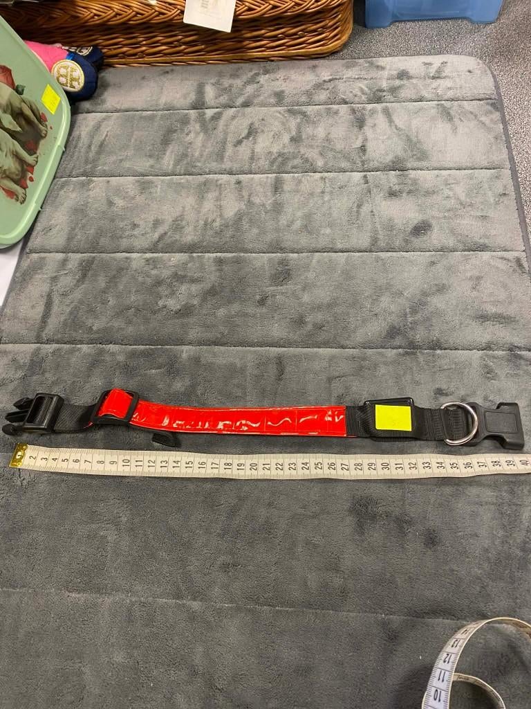 Fluo / reflecterende halsband aan outletprijsje !, Ophalen of Verzenden, Nieuw