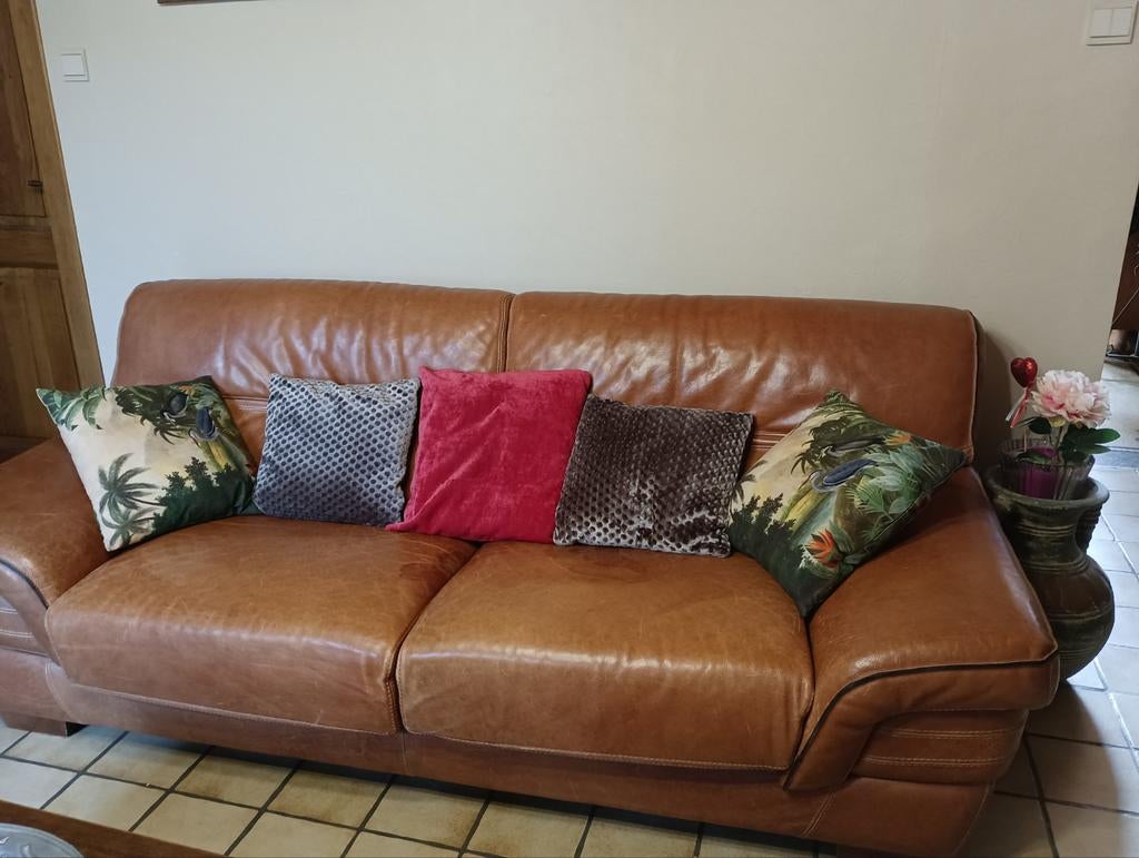 Salon 3 + 2 en cuir de buffle, Enlèvement