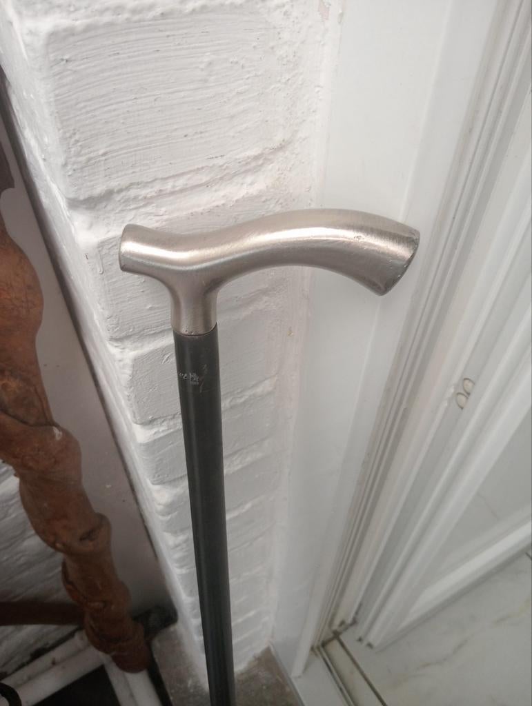 Riet (Fayet), Diversen, Wandelstokken, Ophalen of Verzenden