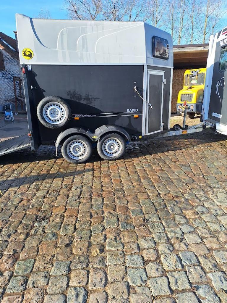 Paardentrailer Humbaur Rapid, Animaux & Accessoires, Chevaux & Poneys | Semi-remorques & Remorques, Utilisé, Remorque 2 chevaux