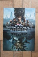 filmaffiche Black Panther Wakanda Forever Marvel filmposter, Verzamelen, Posters, Rechthoekig Staand, Ophalen of Verzenden, Zo goed als nieuw