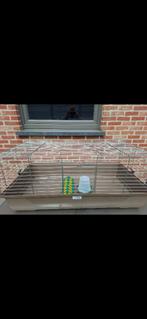 Startpakket kuikens, Dieren en Toebehoren, Nieuw, 75 tot 110 cm, Ophalen, Minder dan 60 cm