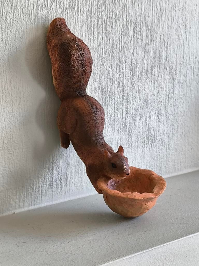 Voederschaaltje, eekhoorntje, Ophalen of Verzenden