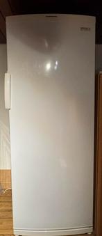 Diepvrieskast Friac de Luxe – in goede staat, Elektronische apparatuur, Vriezers en Diepvrieskisten, Ophalen, Zo goed als nieuw