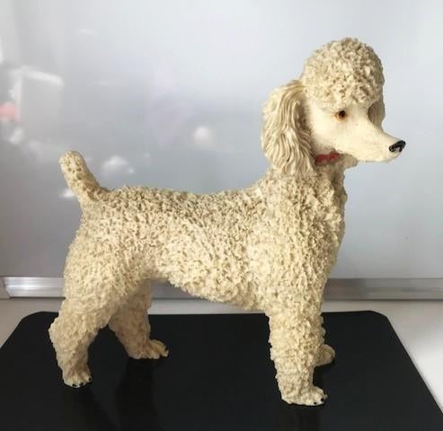 Statue de chien caniche en pierre H 21 cm 😍💑🤗, Mammifère, Statue, Enlèvement ou Envoi, Pierre ou céramique