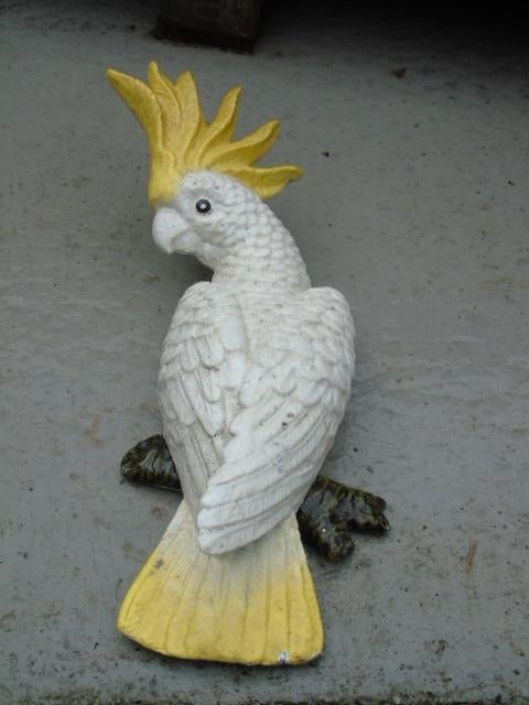 gietijzeren muurpapegaaienbeeld kleuren..., Tuin en Terras, Ophalen of Verzenden, Nieuw