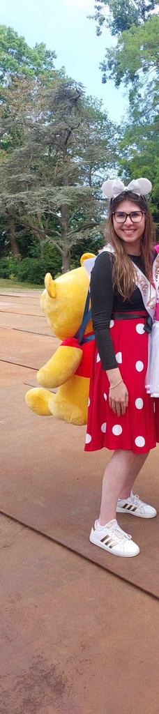 Grote Winnie the Pooh, Ophalen, Zo goed als nieuw, Knuffel