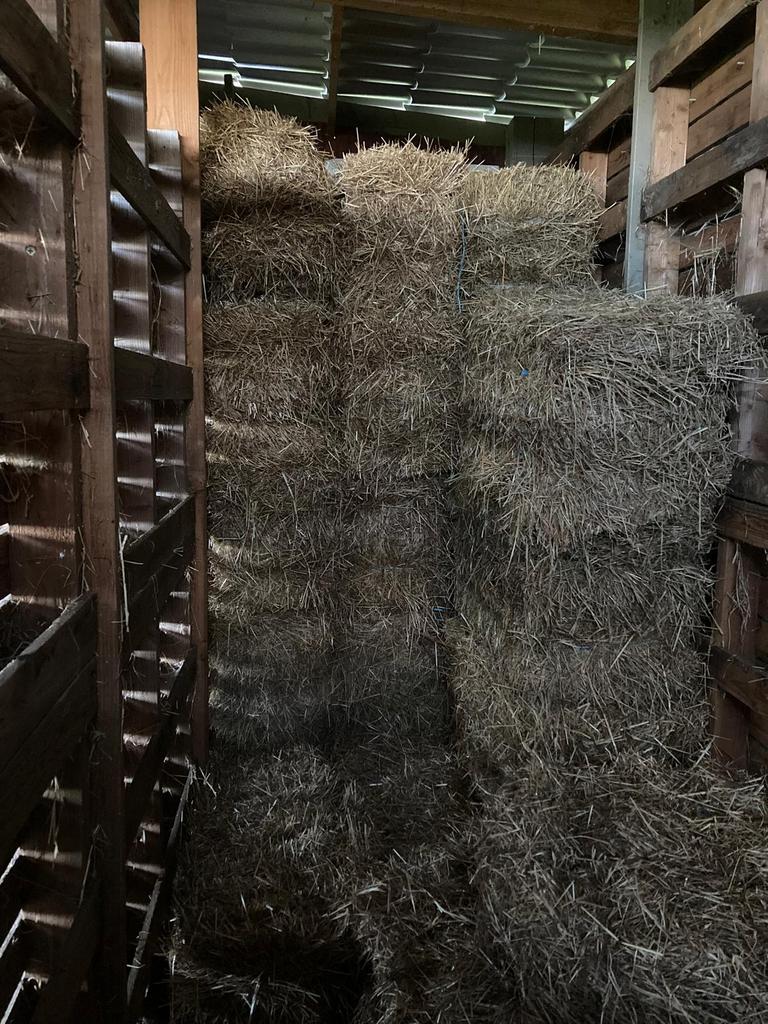 Hooi te koop, Enlèvement