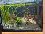 Net kubus aquarium 100L met toebehoren, Dieren en Toebehoren, Ophalen, Leeg aquarium, Overige merken