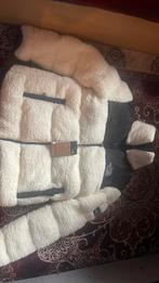 Face nord, Enlèvement