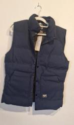 Nieuwe bodywarmer maat XL, Kleding | Heren, Bodywarmers, Ophalen of Verzenden, Nieuw, Maat 56/58 (XL), Blauw