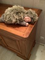 Anne geddes, Verzamelen, Ophalen, Zo goed als nieuw