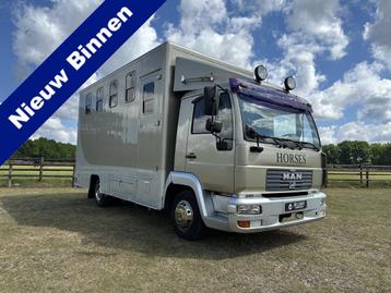 MAN 4-paards 7.5T paardenvrachtwagen JWR Roelofsen opbouw!, Achterwielaandrijving, 2 zetels, Blauw, Zilver of Grijs