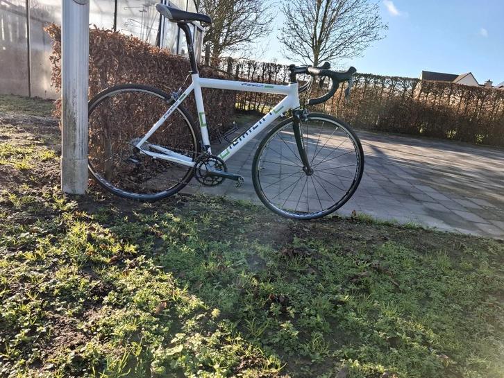 koersfiets diamant maat 53, Fietsen en Brommers, Fietsen | Racefietsen, Gebruikt, Overige merken, 10 tot 15 versnellingen, Aluminium