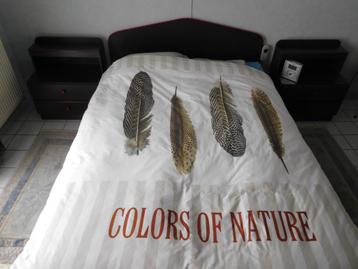 Waterbed, nachtkastjes & commode beschikbaar voor biedingen