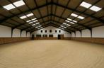 Unieke kans: wonen en paarden stalling, Dieren en Toebehoren, Stalling en Weidegang, Weidegang, 4 paarden of pony's of meer