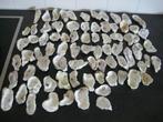 75 x mooie oesterschelpen in grove vorm (6cm t/m 10cm), Ophalen of Verzenden, Nieuw, Materiaal