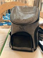 Cat backpack, Janvier