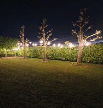 Tuinverlichting lampenslinger feestverlichting
