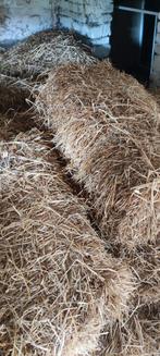 Paille petits ballots, Ophalen