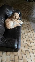 Gratis 3-zit lederen zetel, Ophalen, Gebruikt, Driepersoons, Leer