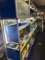 Aquariumstelling, Dieren en Toebehoren, Vissen | Aquaria en Toebehoren, Ophalen, Gebruikt