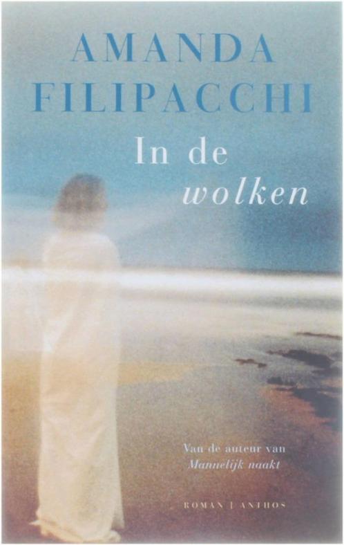 Te koop: Leuke roman "In de wolken" van Amanda Filipacchi., Boeken, Romans, Gelezen, Ophalen
