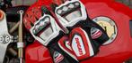 Ducati corse 2 -- race handschoenen, Motoren, Kleding | Motorkleding, Handschoenen, Nieuw zonder kaartje, Dames