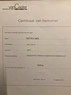 Tapijt Nepal 250x300, Ophalen