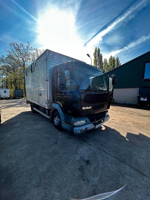 Daf LF45 Paardenwagen, Auto's, Vrachtwagens, Bedrijf, ABS, DAF, Diesel, Euro 2, 3 deurs, Handgeschakeld, Blauw, Zwart, Stof, Achterwielaandrijving